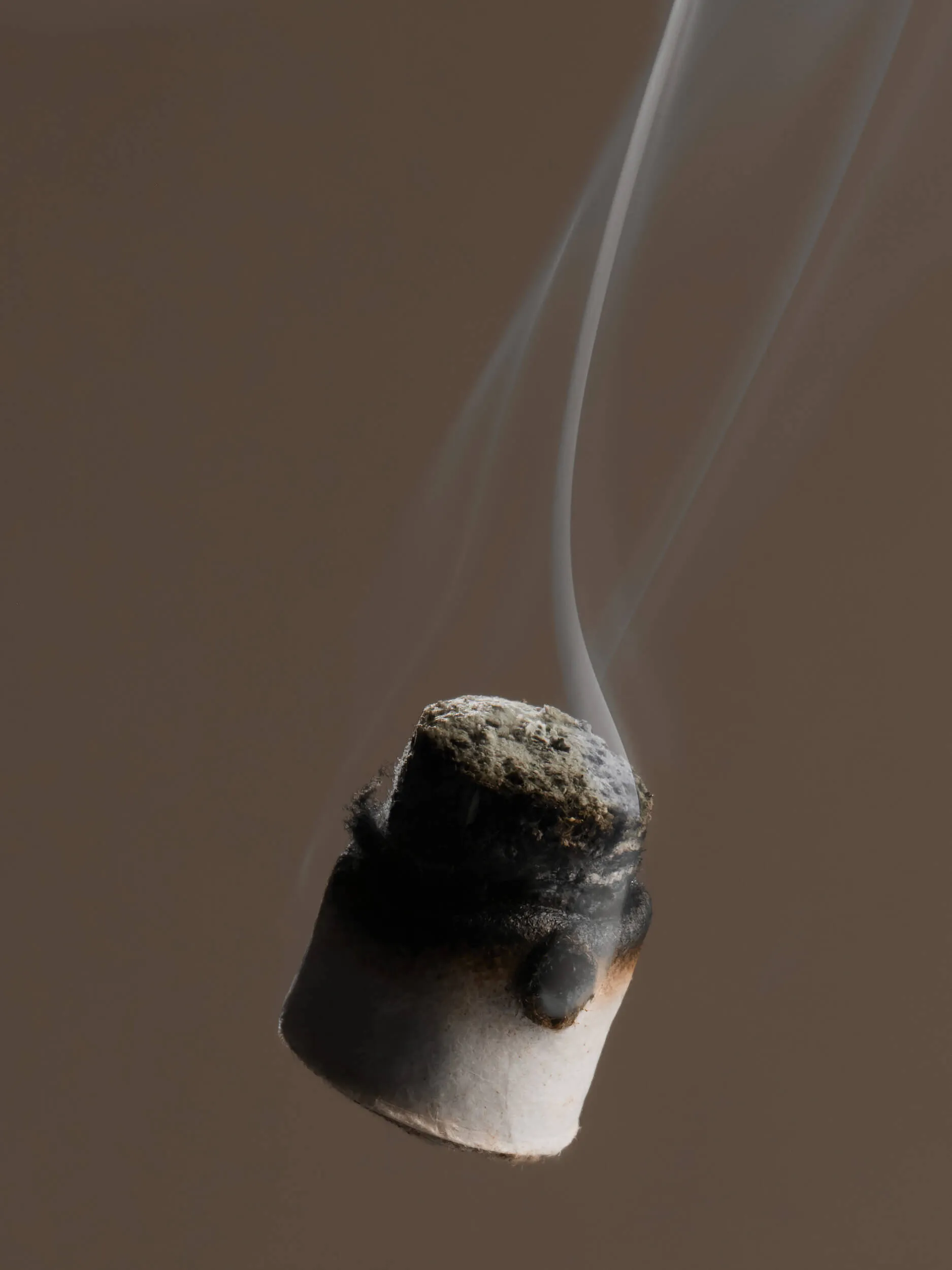 Burning moxa (mugwort) used in moxibustion therapy